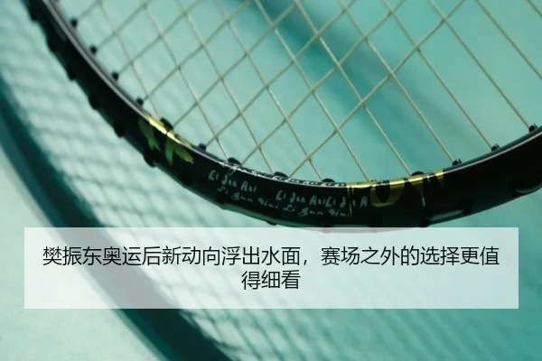 樊振东奥运后新动向浮出水面，赛场之外的选择更值得细看